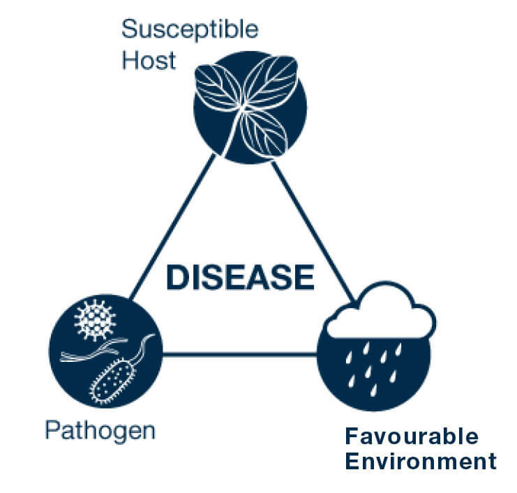 Disease diagram